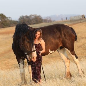 Realisation Par The Alba dress in Rosalita